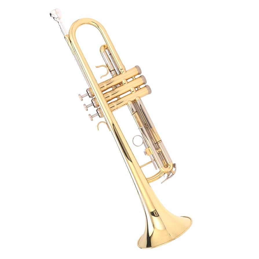 管楽器・吹奏楽器 Taylor E-ML 管楽器・吹奏楽器 Taylor E-ML Taylor E-ML - 管楽器・吹奏楽器
